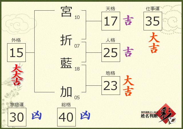 診断結果画像