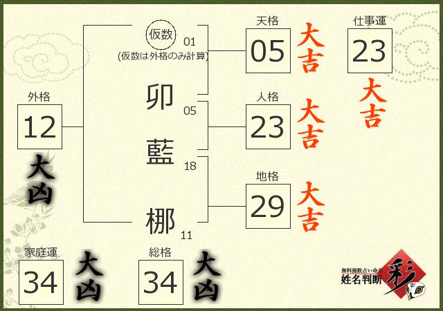 診断結果画像
