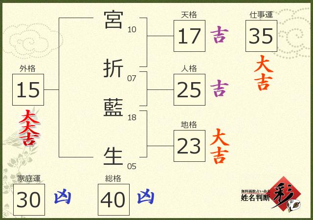 診断結果画像