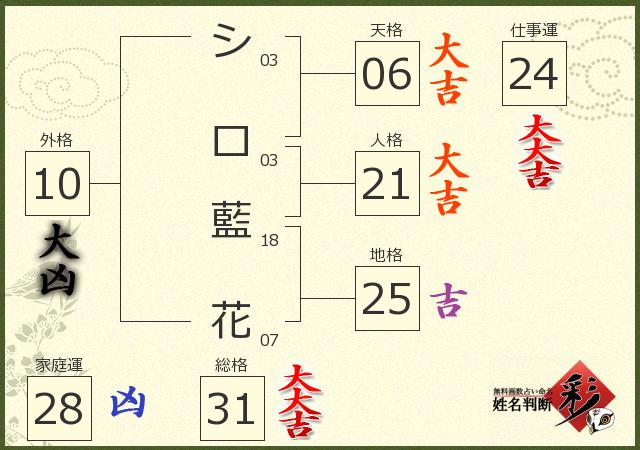診断結果画像