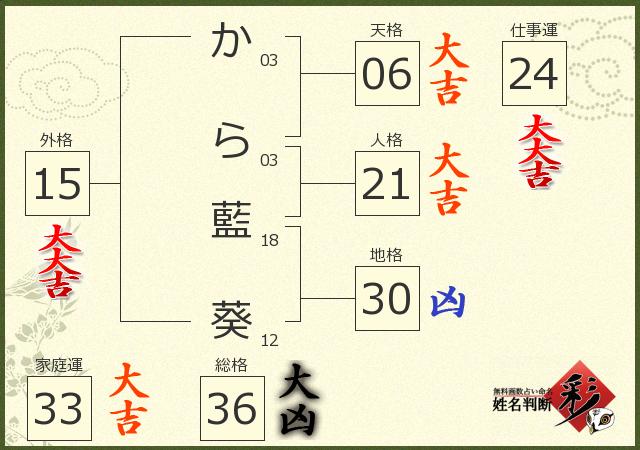 診断結果画像