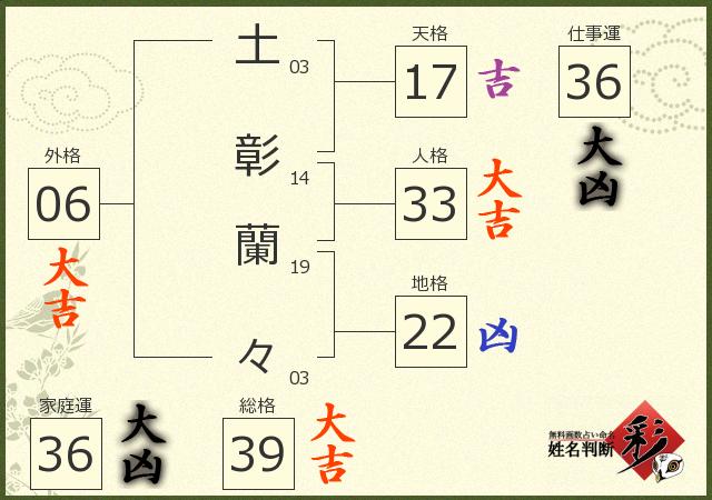 診断結果画像