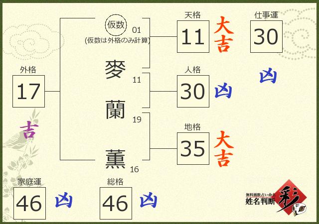 診断結果画像