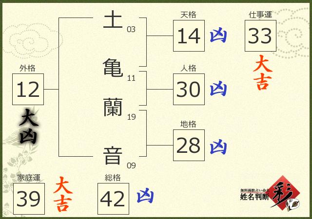 診断結果画像
