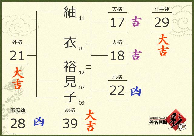 診断結果画像