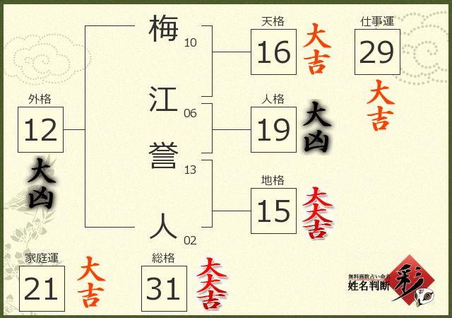 診断結果画像