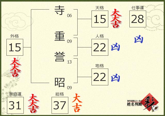 診断結果画像