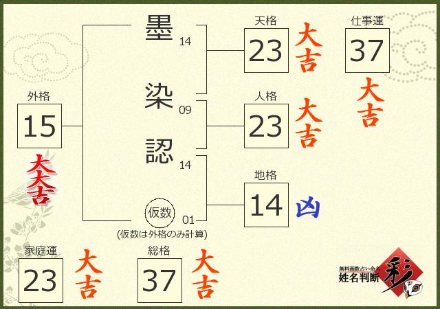 診断結果画像
