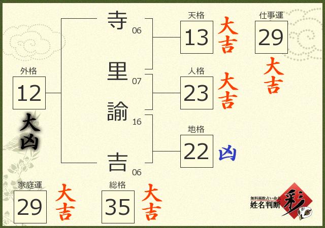 診断結果画像