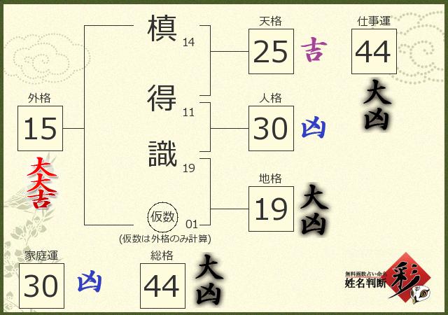 診断結果画像