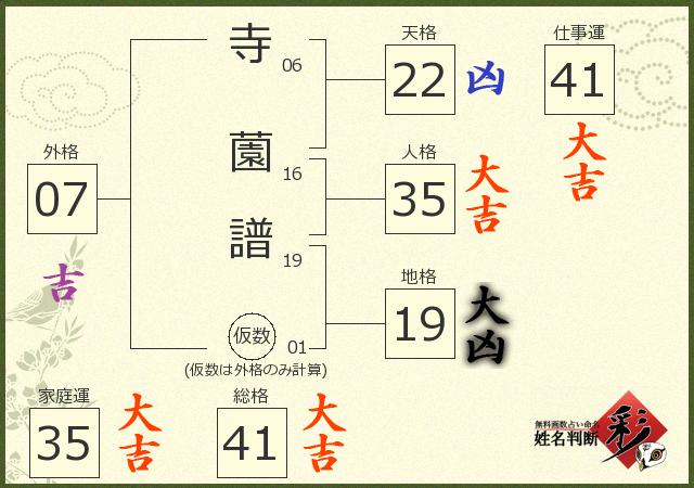 診断結果画像