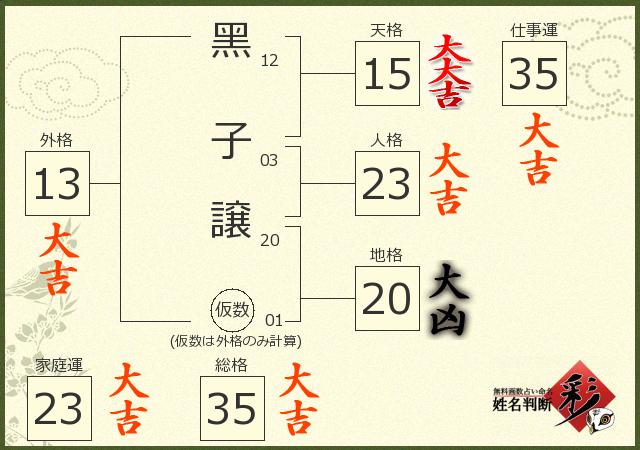 診断結果画像