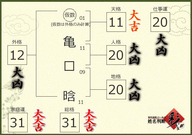 診断結果画像