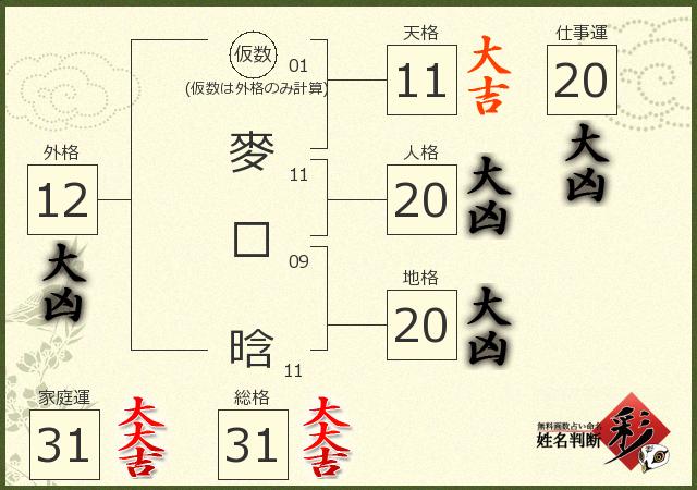 診断結果画像