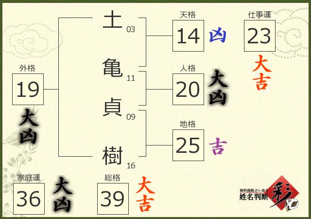 診断結果画像