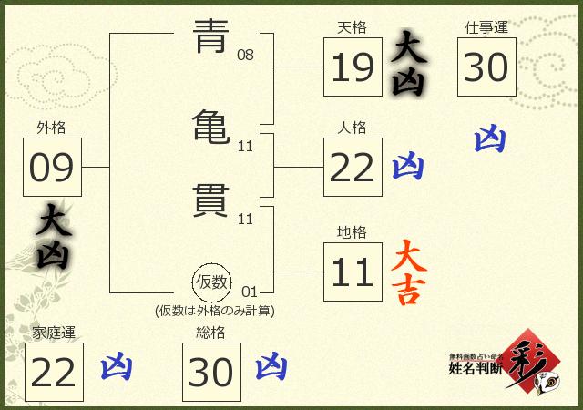 診断結果画像