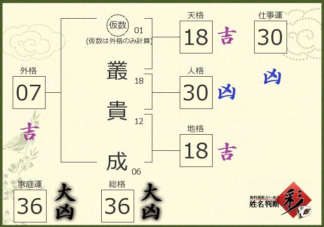 診断結果画像