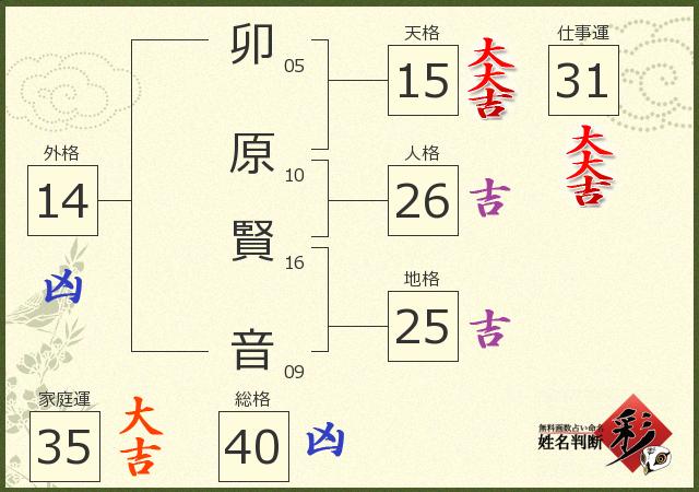 診断結果画像