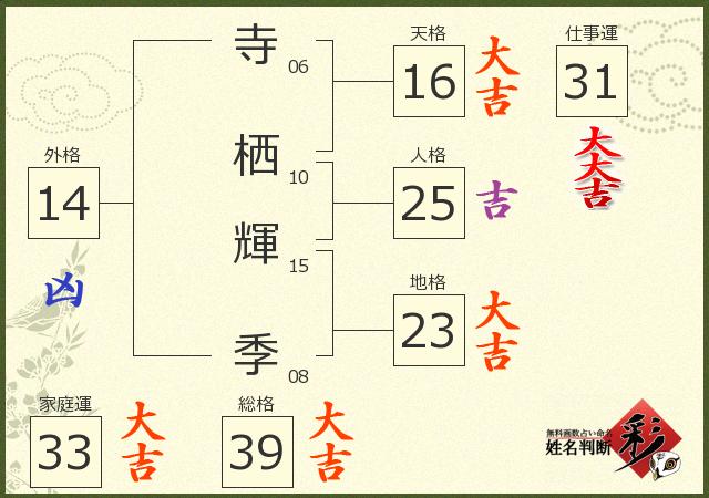 診断結果画像