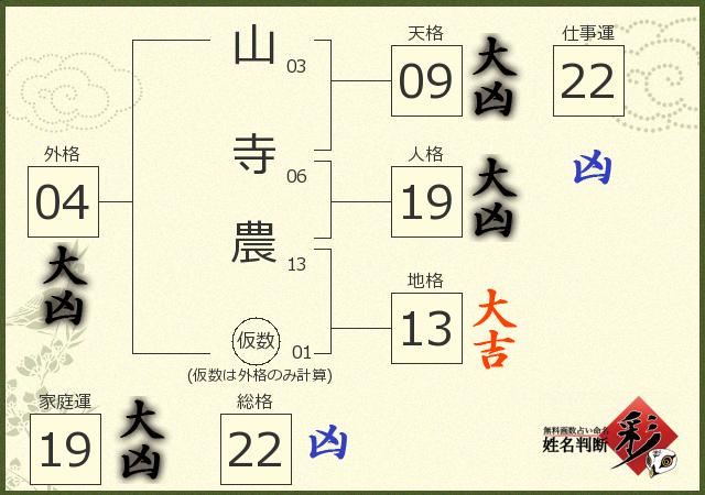 診断結果画像