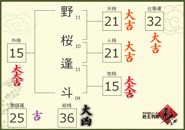 診断結果画像