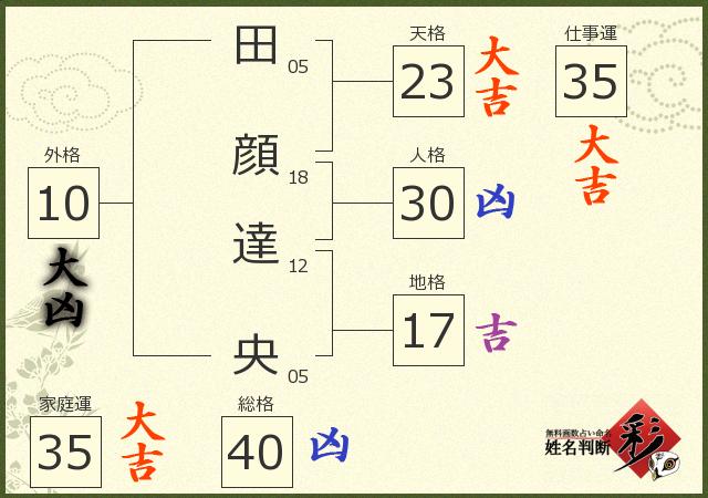 診断結果画像
