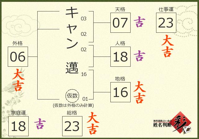 診断結果画像