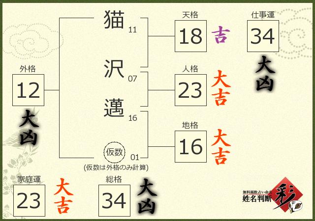 診断結果画像