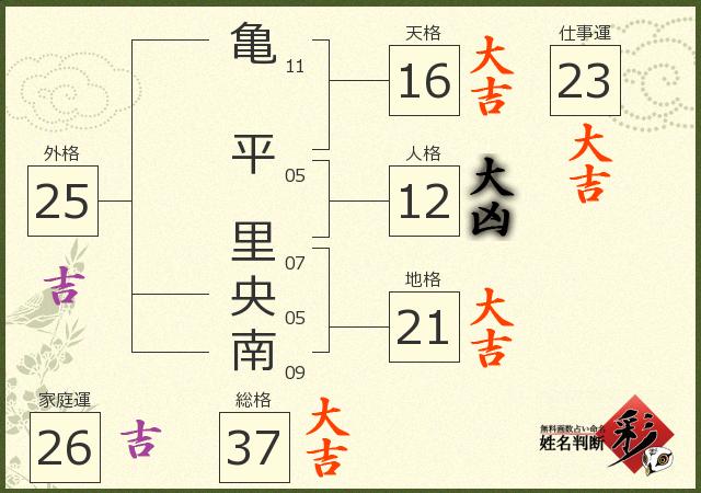 診断結果画像