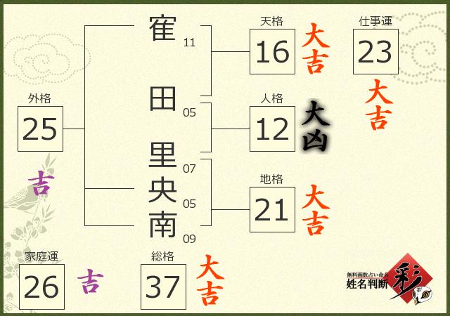 診断結果画像
