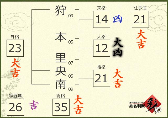 診断結果画像