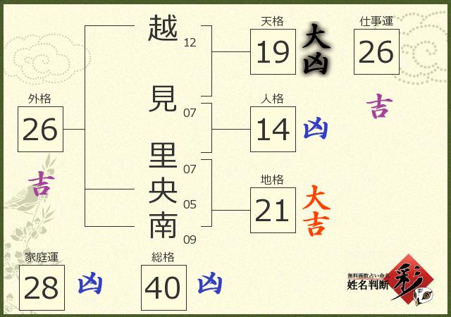 診断結果画像