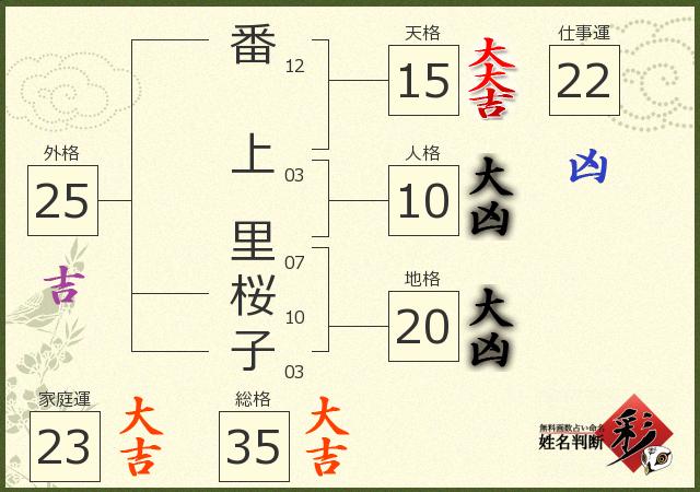 診断結果画像