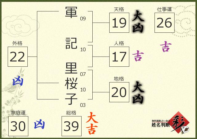 診断結果画像