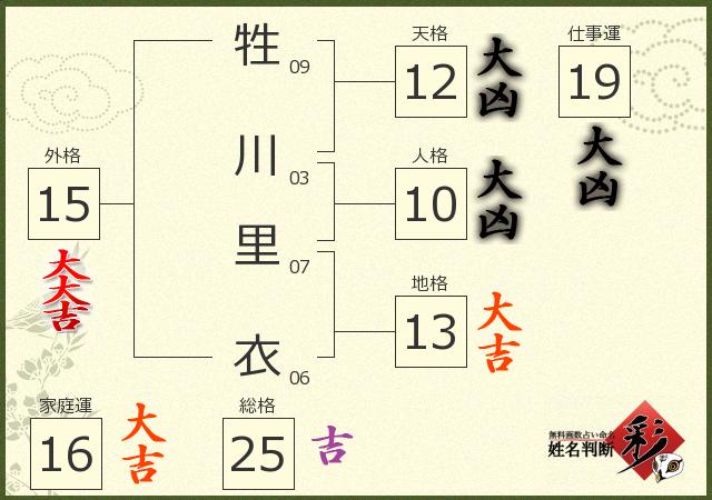 診断結果画像
