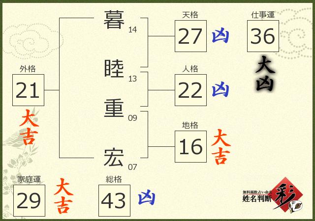 診断結果画像