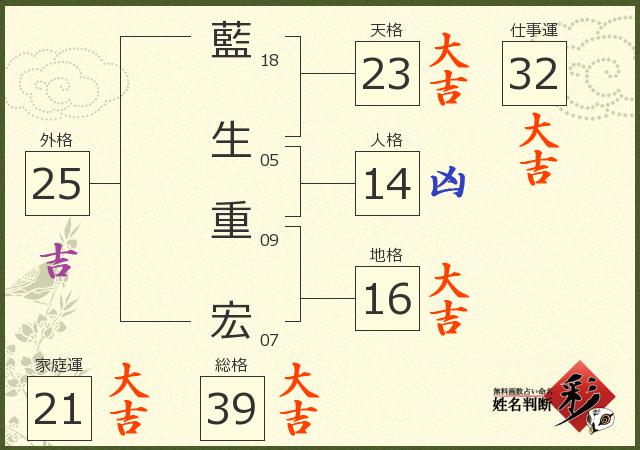 診断結果画像