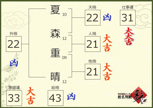 診断結果画像