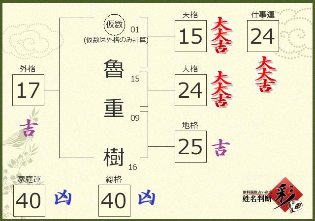 診断結果画像