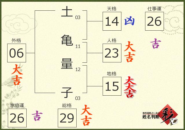 診断結果画像