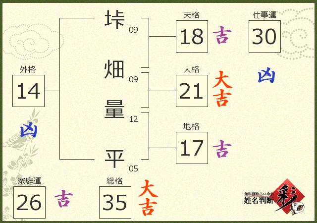 診断結果画像