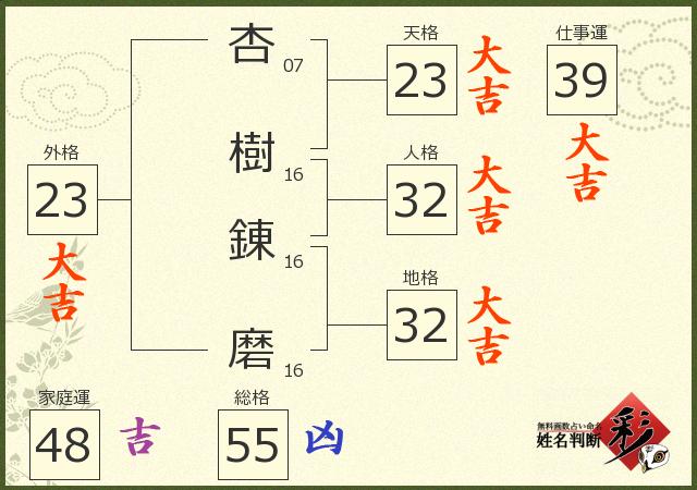 診断結果画像