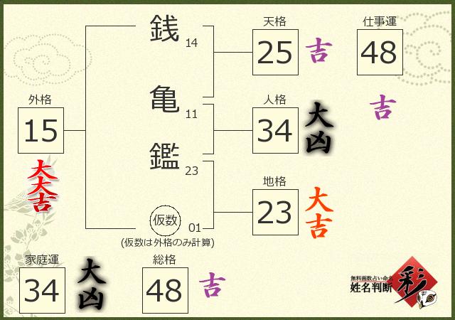 診断結果画像