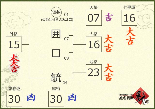 診断結果画像