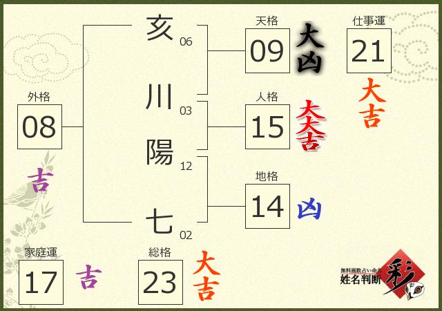 診断結果画像