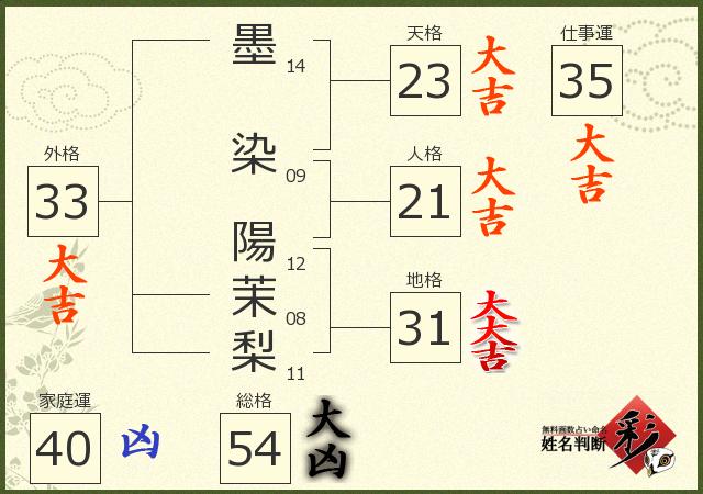 診断結果画像
