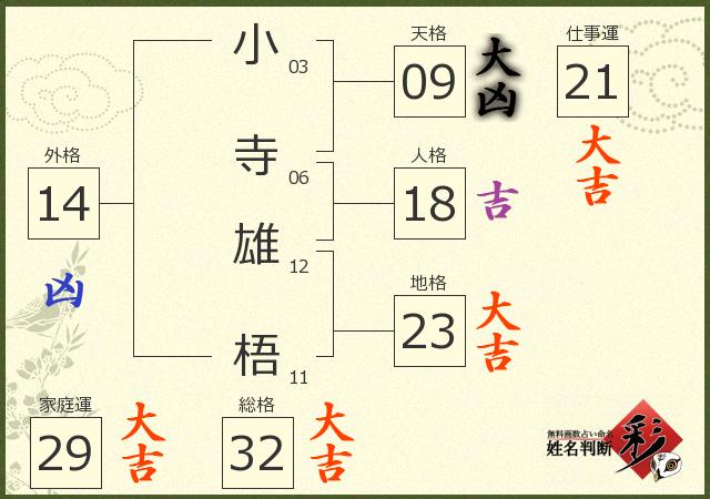 診断結果画像