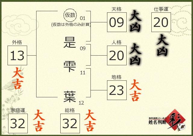 診断結果画像