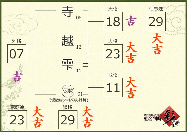 診断結果画像