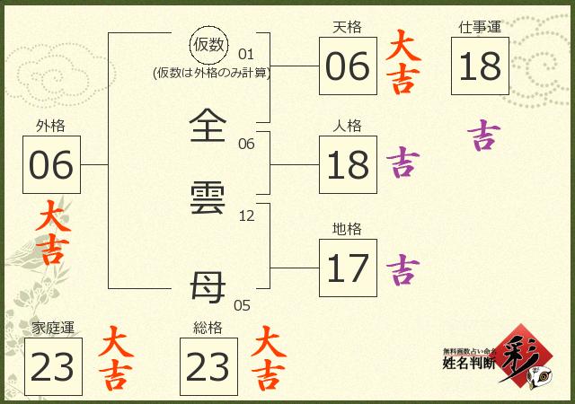 診断結果画像